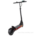 600W Citycoco 2 Wheel Oem Electric Scooter